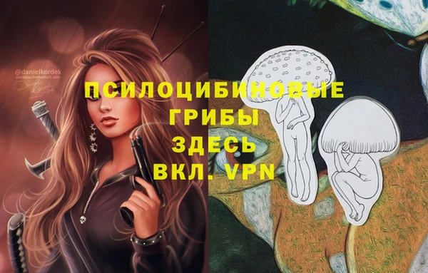 метадон Алзамай